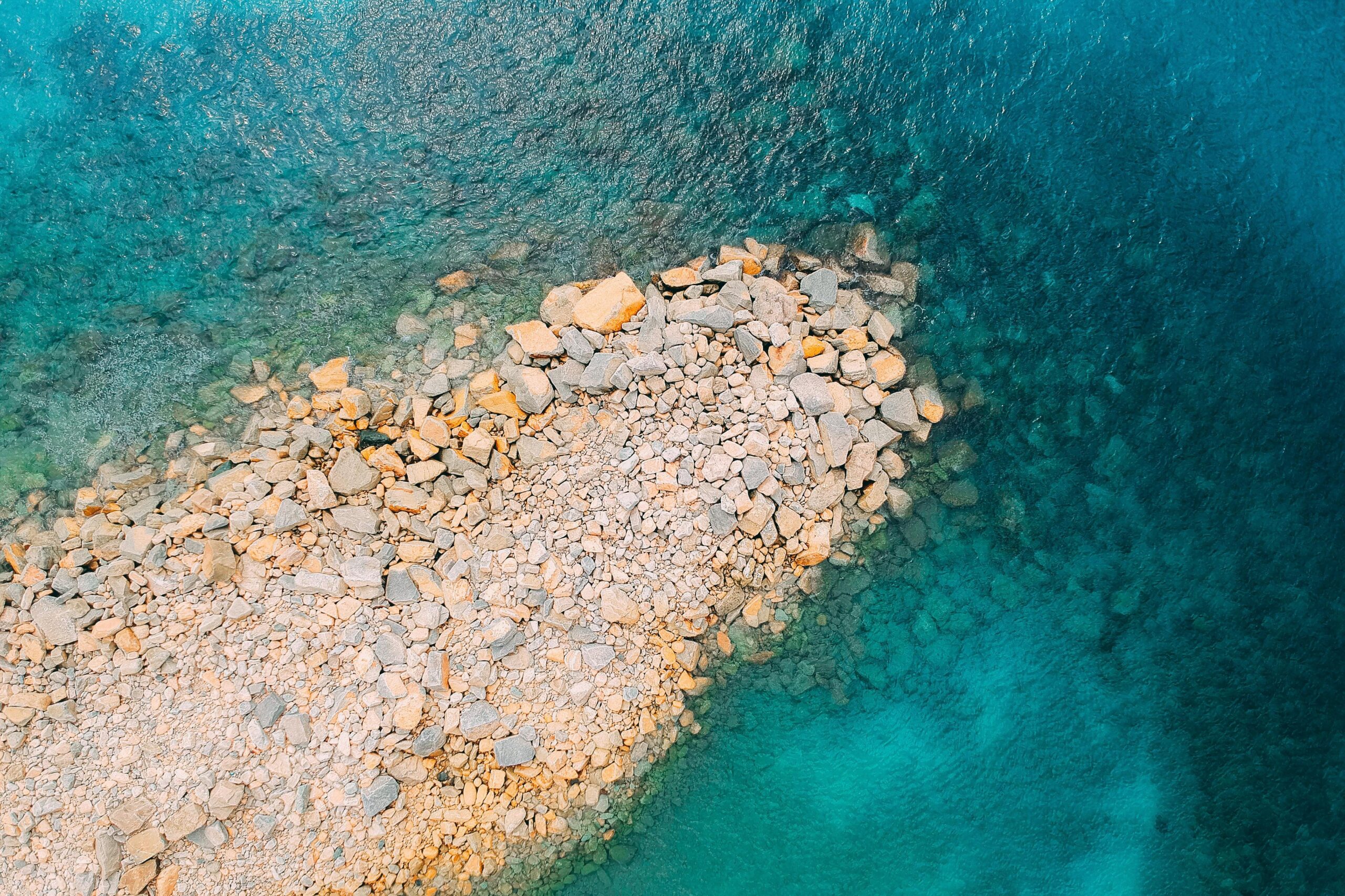 Infographic showing popular summer color palettes like coral, turquoise, and sand beige