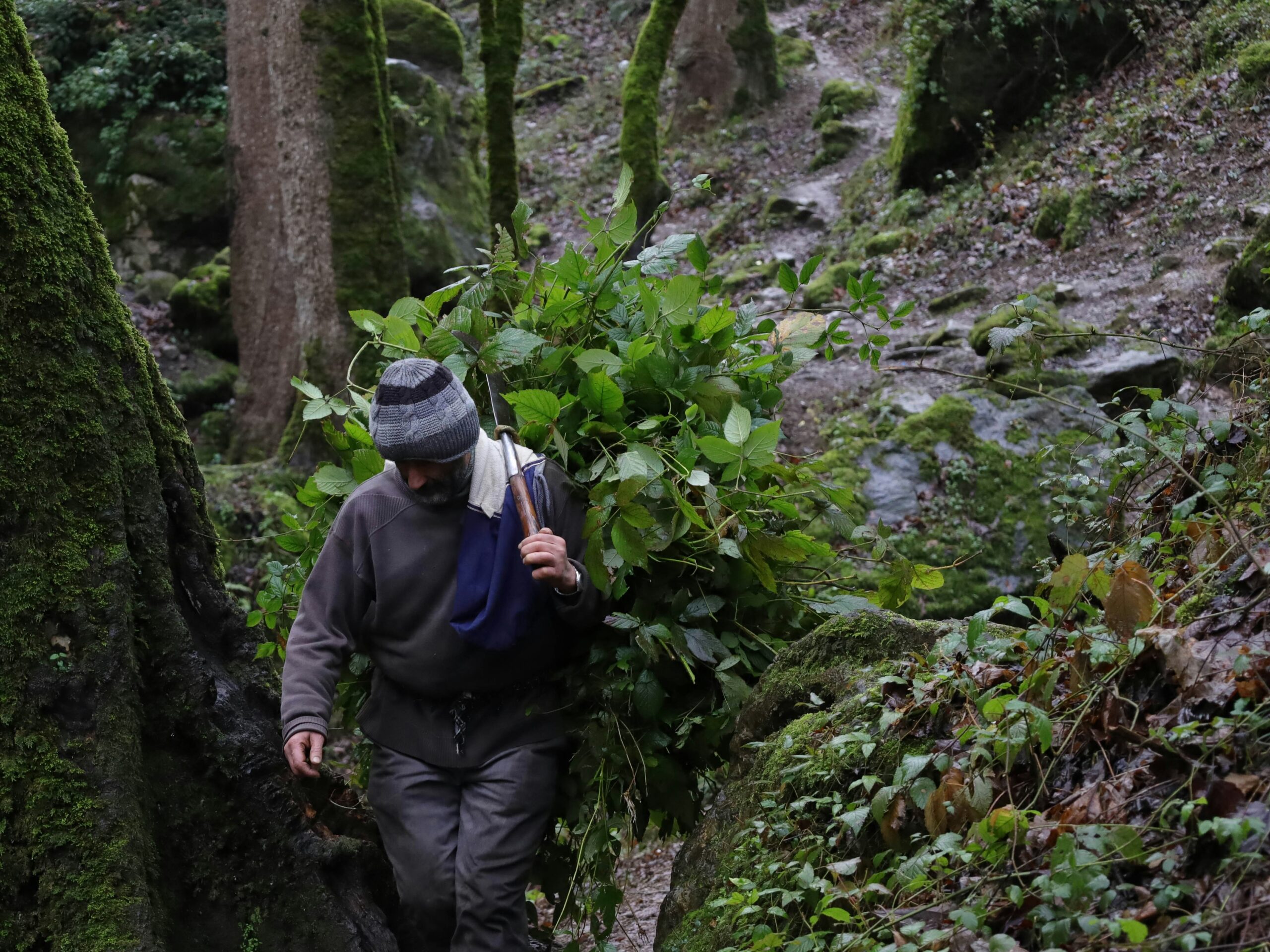 Influencer wearing a moss-green watch during a hike
