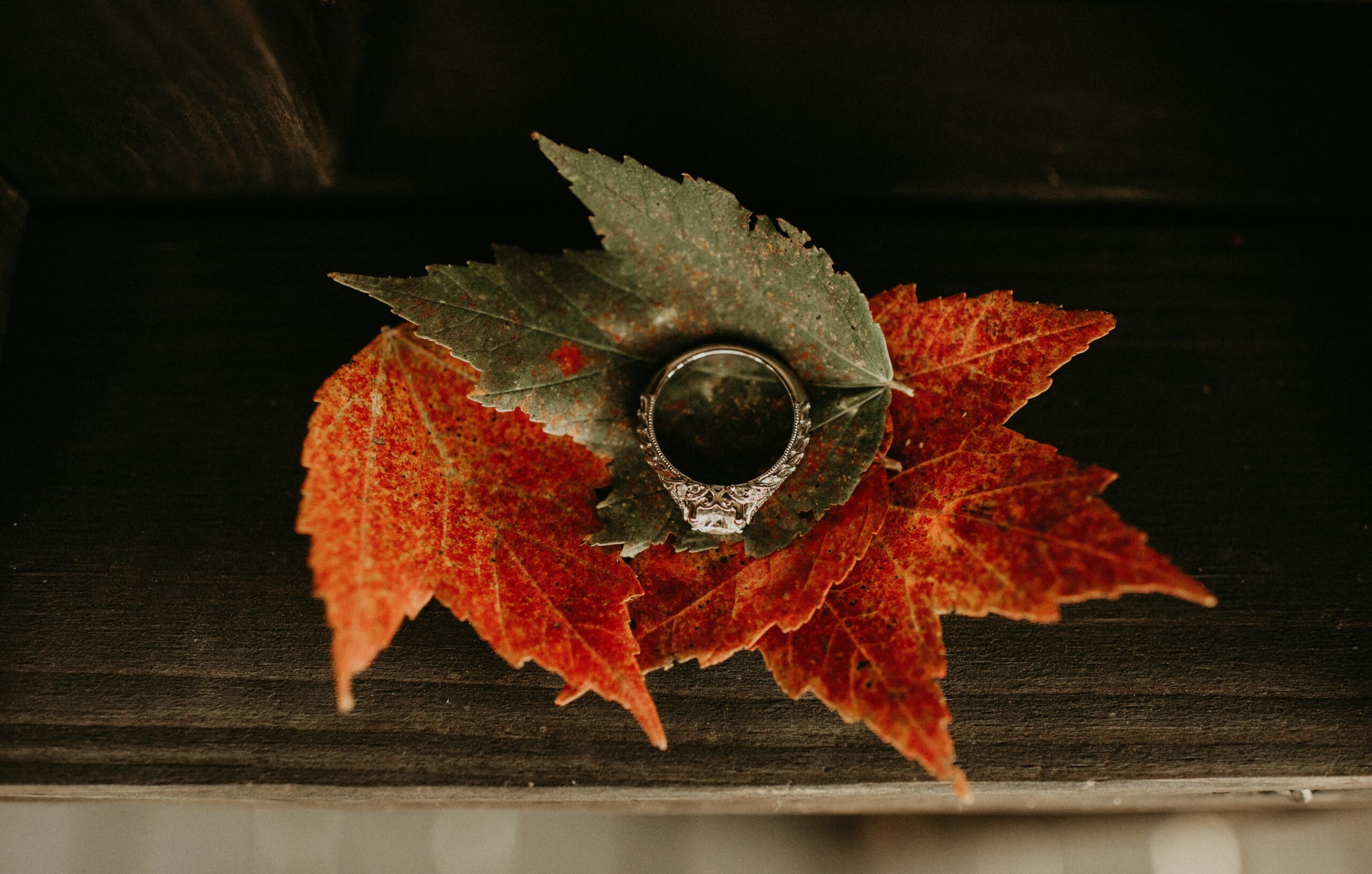 Watches inspired by autumn leaf colors