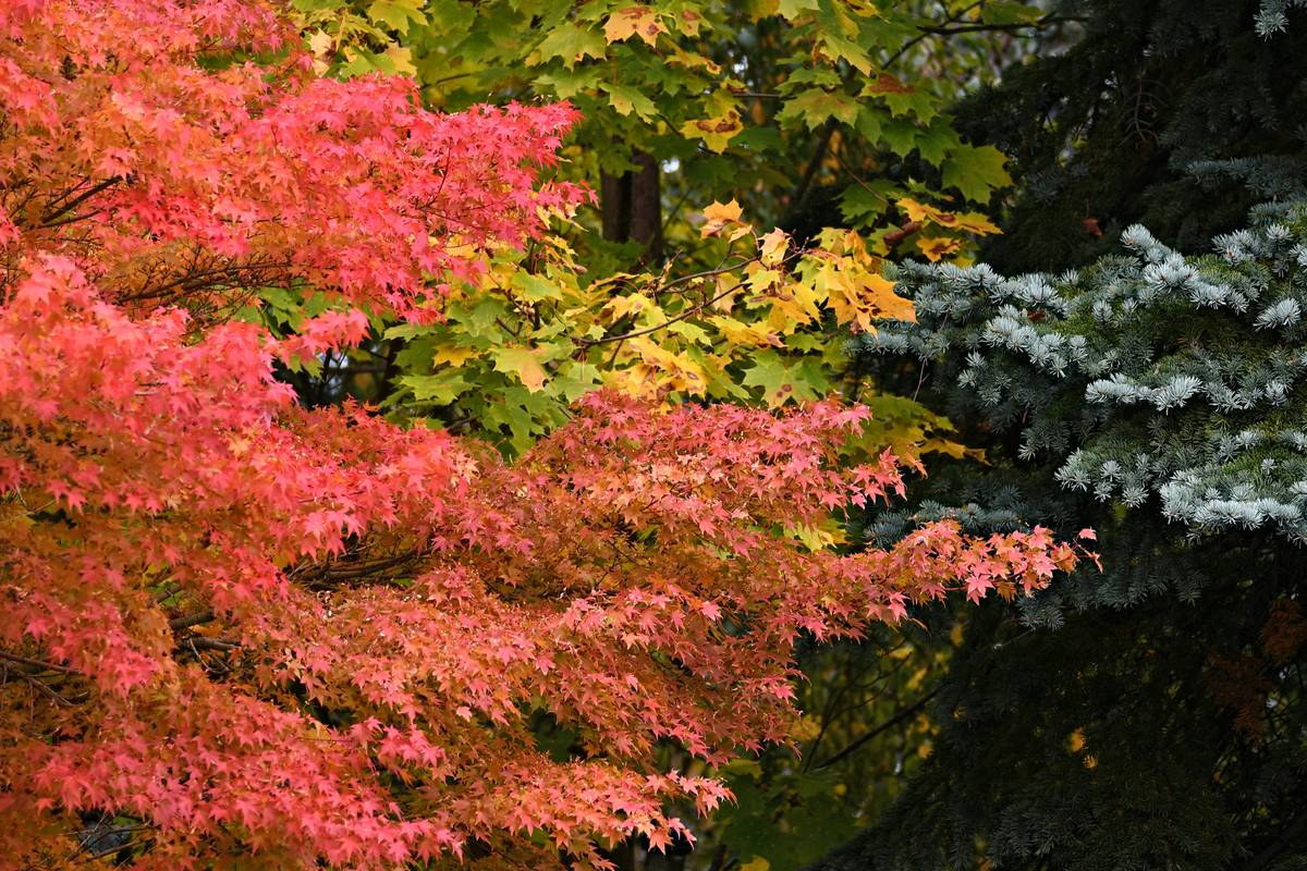 Seasonal Gradient Watch Designs: How to Elevate Your Style All Year Round