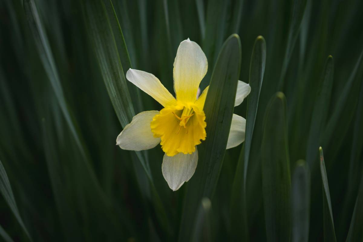 A man wearing a bright orange digital watch paired awkwardly with formal attire.