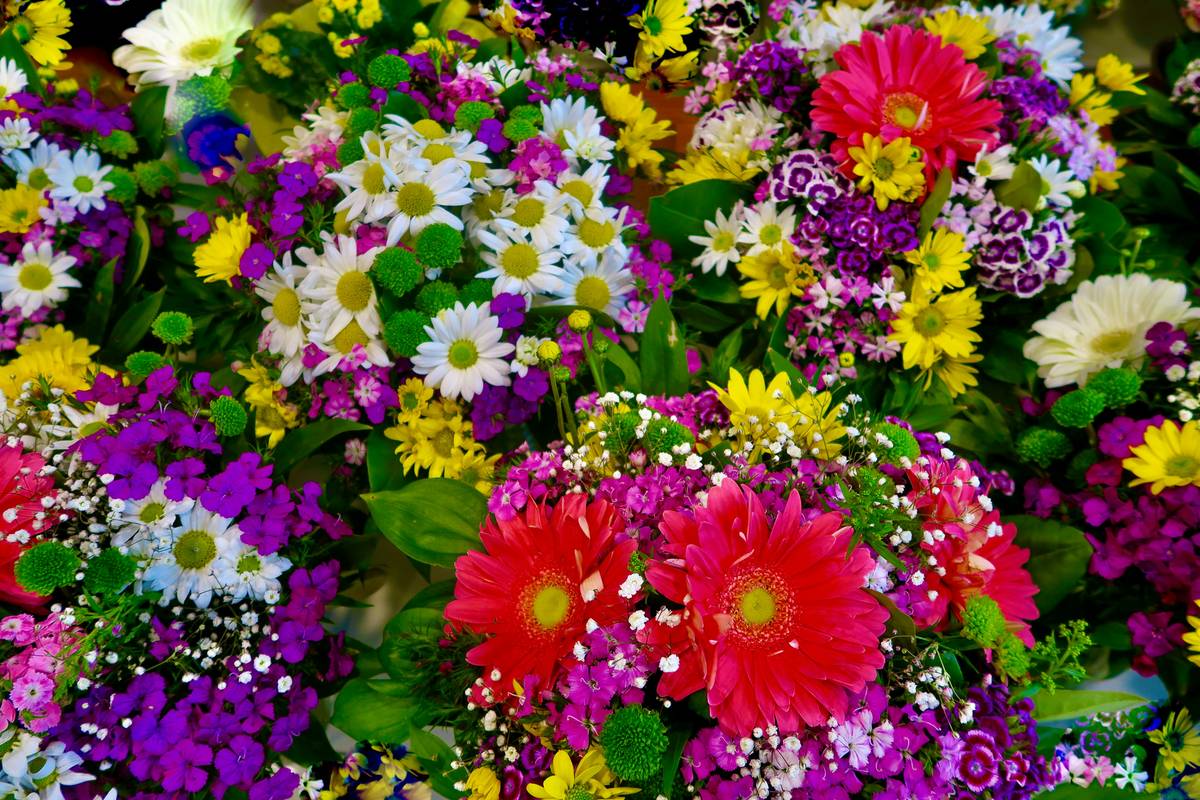 Close-up shot of colorful watches inspired by spring flowers