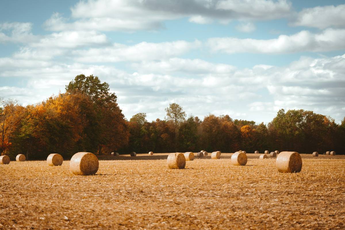 Model wearing an autumn-toned watch with a brown jacket and jeans